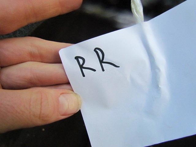 2007 Infiniti G35 G35x Sedan Rear RH Passenger Fender Liner