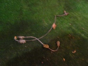 2005 Subaru Impreza Wagon Front LH Driver ABS Sensor 27640AE010