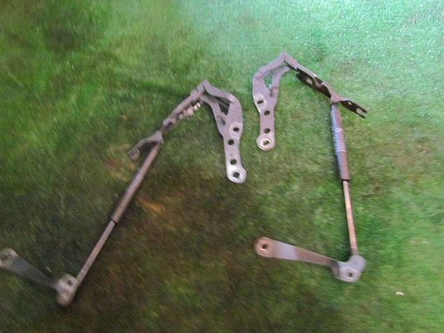 2005 BMW M3 RH & LH Hood Hinges w/Struts Set 5123 7 893 236