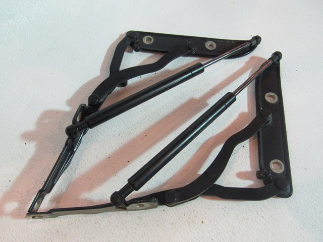 2005 BMW M3 Trunk Hinge and Strut Set