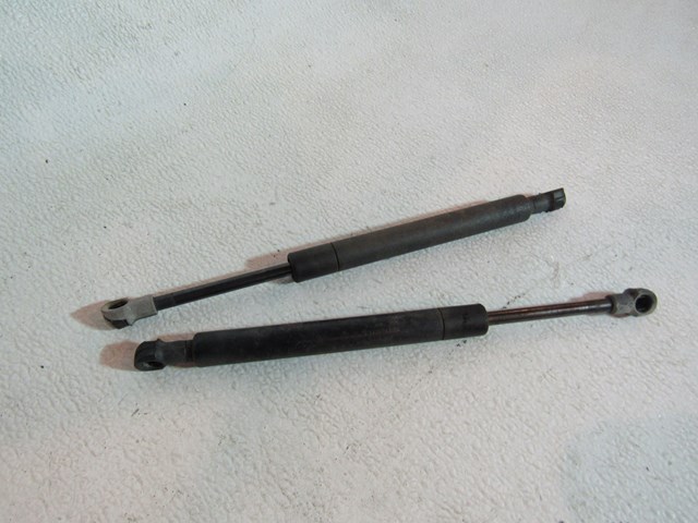 03 04 05 Infiniti G35 Coupe Trunk Strut Set
