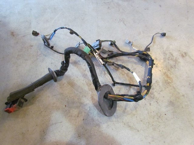 2005 Land Rover LR3 Front LH Driver Door Wiring YMM5019992C