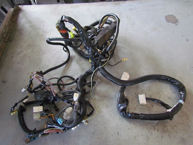 2004 Infiniti G35 Coupe LH Body Wiring 24014 AM871- Cut Wires in Avon