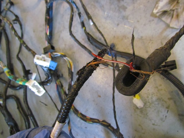 2003 Subaru Legacy RH Passenger Body Wiring-See Details