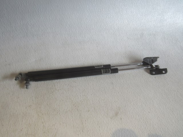 2010 Subaru WRX Hood Strut Set
