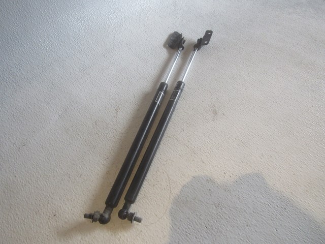 2010 Subaru WRX Hood Strut Set