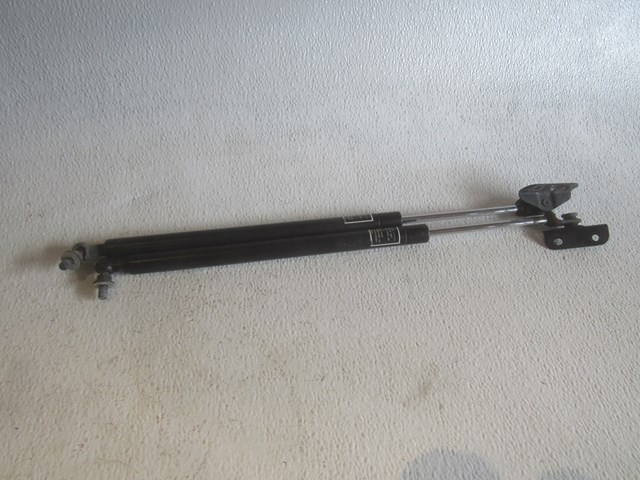 2010 Subaru WRX Hood Strut Set