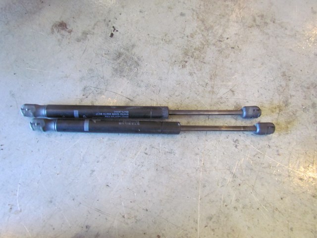 2010 Infiniti G37x Sedan Hood Strut Set of 2- 65470 JK00C