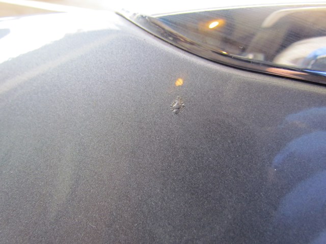 2010 Infiniti G37x Sedan Trunk Lid 