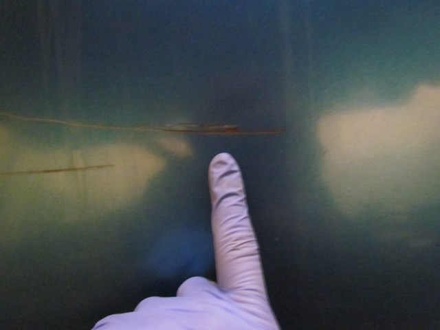 2003 Infiniti G35 Coupe RH Passenger Door Shell--See Photos