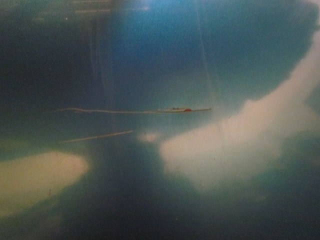 2003 Infiniti G35 Coupe RH Passenger Door Shell--See Photos