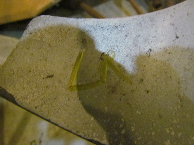 2003 Nissan 350Z LH Driver Rear Mudguard 