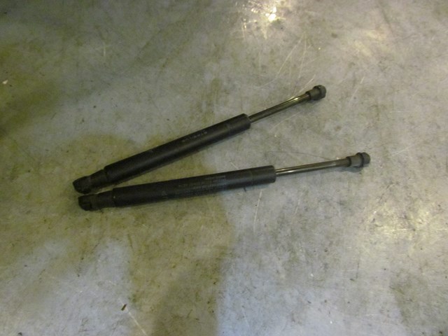 2008 Infiniti G35 Sedan Trunk Strut Set