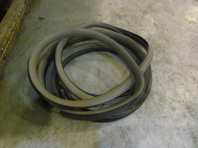 2006 Nissan 350z RH Passenger Door Seal--Frost