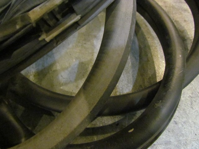 2006 Nissan 350z LH Driver Door Seal--Frost