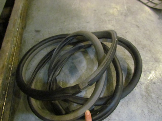 2006 Nissan 350z LH Driver Door Seal--Frost