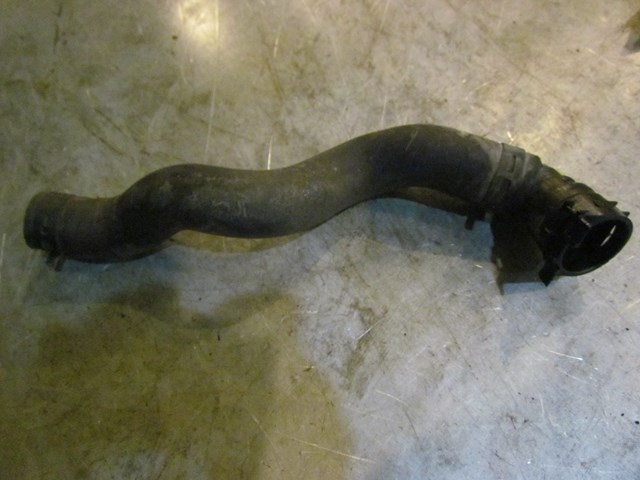 2008 Infiniti G35x Sedan Radiator Hose
