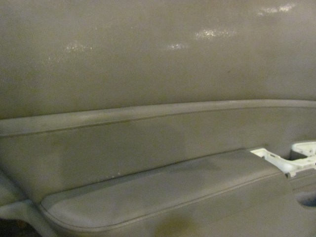 06 Nissan 350z LH Driver Door Panel Frost