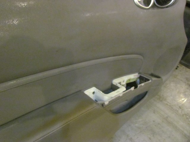 06 Nissan 350z LH Driver Door Panel Frost