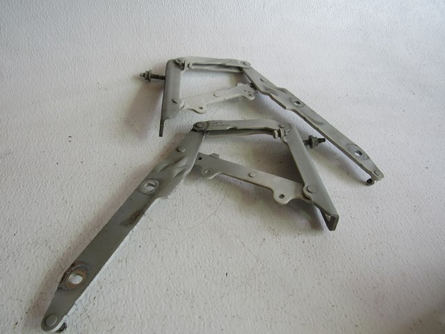 2006 Land Rover LR3 Hood Hinges Set