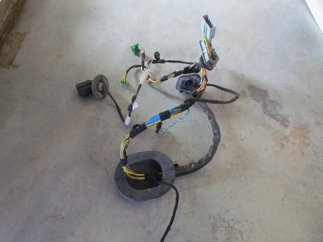 2006 Land Rover LR3 HSE Rear LH Driver Door Wiring YMM502611A