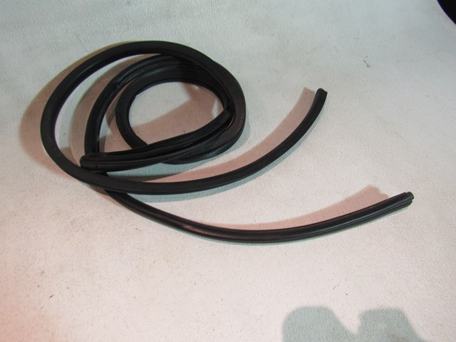 2013 Scion FR-S LH Driver Door Seal