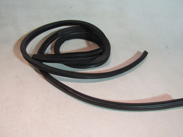 2013 Scion FR-S LH Driver Door Seal