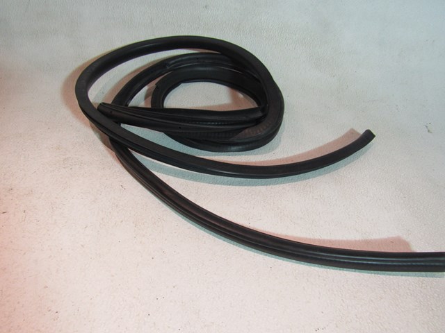 2013 Scion FR-S LH Driver Door Seal