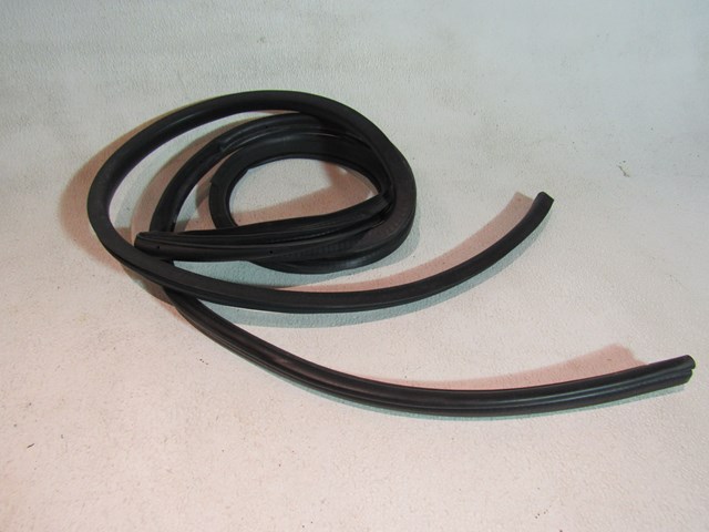 2013 Scion FR-S LH Driver Door Seal