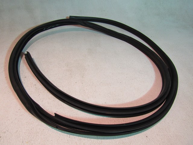 2010 Infiniti G37 Convertible LH Driver Lower Door Seal