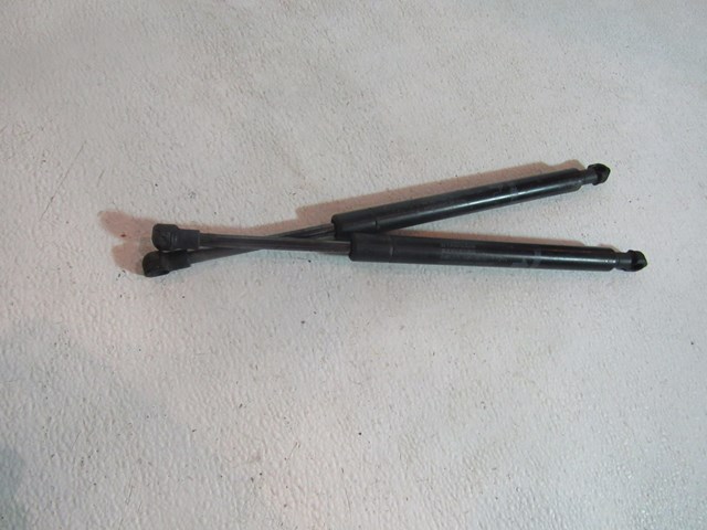 2006 Infiniti M45 Trunk Strut Set RH & LH 84430 EG000