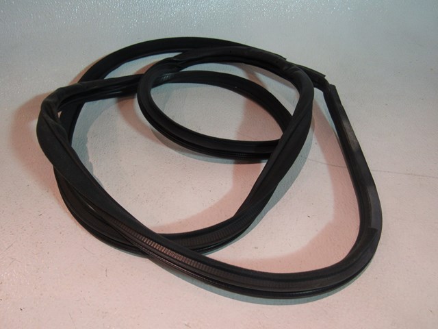 2006 Infiniti M45 Rear RH Passenger Door Seal