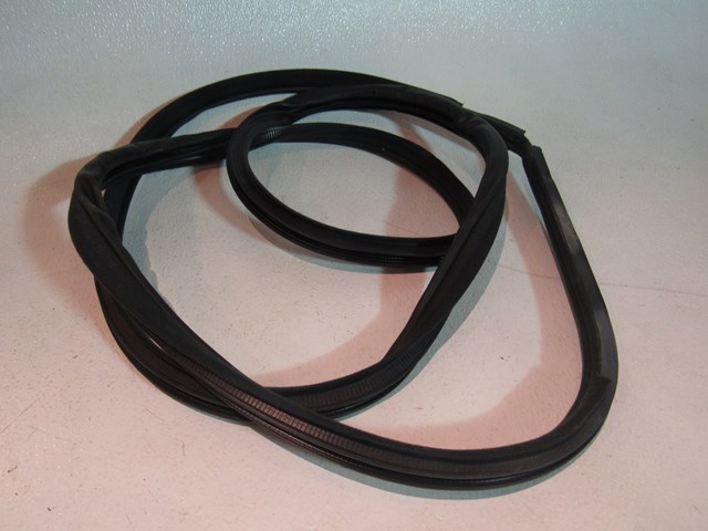 2006 Infiniti M45 Rear RH Passenger Door Seal
