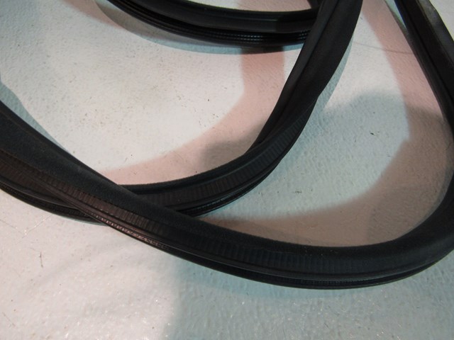 2006 Infiniti M45 Rear RH Passenger Door Seal