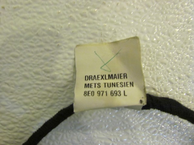 2006 Audi S4 Rear LH Driver Door Wiring 8E0971693