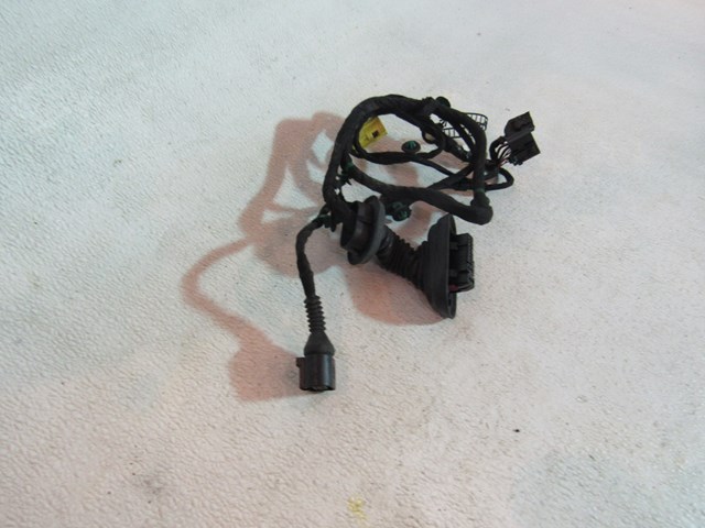 2006 Audi S4 RH Passenger Front Door Wiring