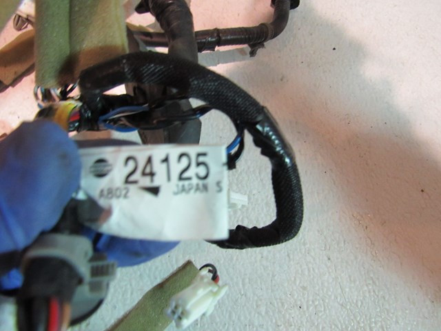 2006 2007 Infiniti M35 LH Driver Front Door Wiring 24125 EH103