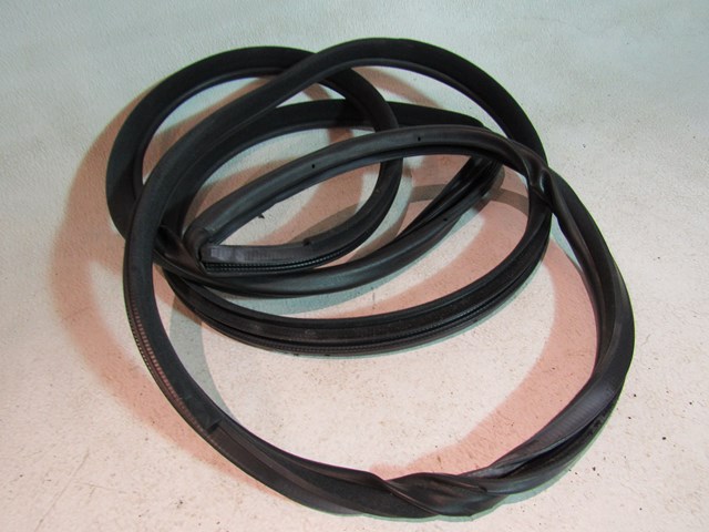 2007 Infiniti M35 RH Passenger Door Seal