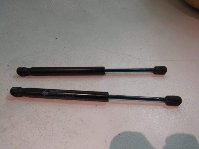 2007 2008 Infiniti G35 Sedan Hood Strut Set 