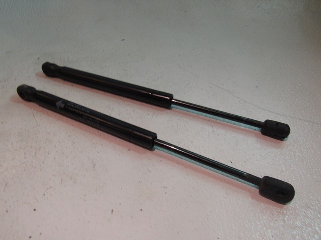 2007 2008 Infiniti G35 Sedan Hood Strut Set 
