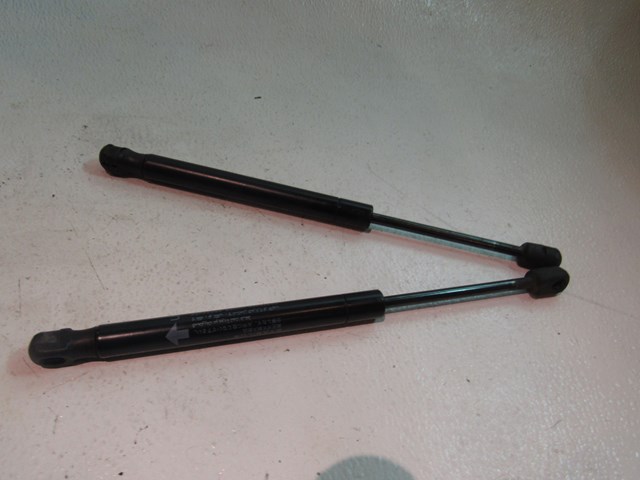 2007 2008 Infiniti G35 Sedan Hood Strut Set 