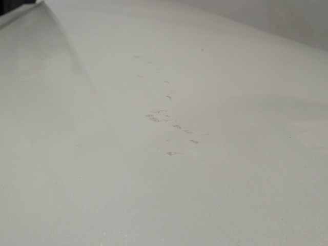 2007 Infiniti G35 Sedan Front LH Driver Door Shell READ