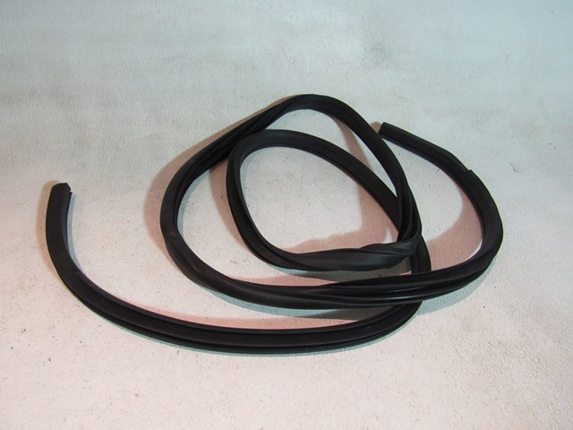 2014 Nissan Juke Nismo RS Rear RH Passenger Door Seal 