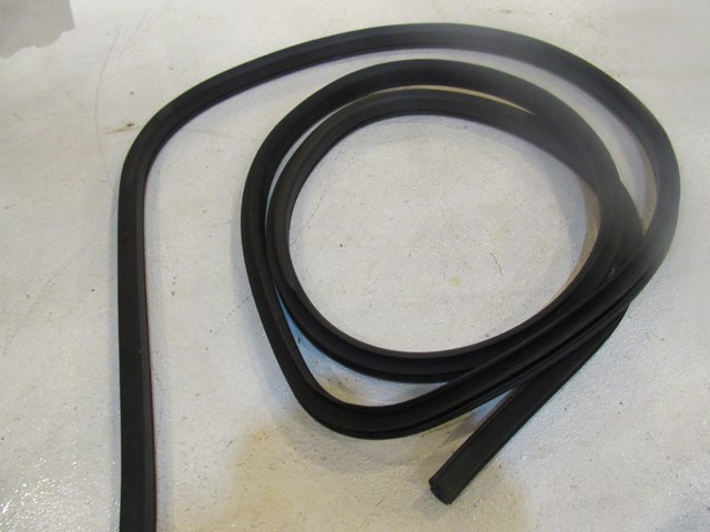 2014 Nissan Juke Nismo RS Front LH Driver Door Seal