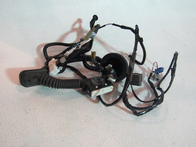 08 09  Infiniti G37 Coupe RH Passenger Door Wiring 24124 JL01A
