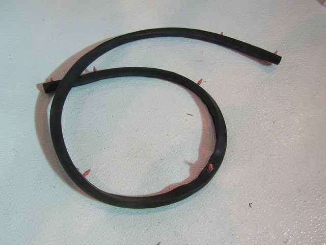 2009 Infiniti G37 Coupe Hood/Wiper Cowl Seal