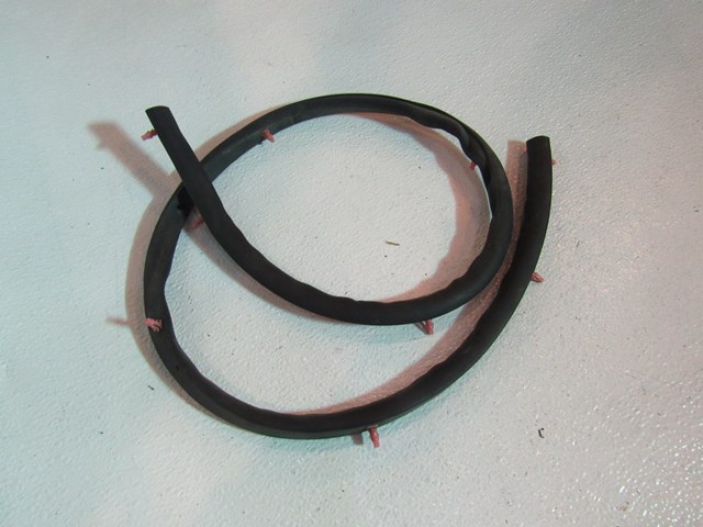 2009 Infiniti G37 Coupe Hood/Wiper Cowl Seal