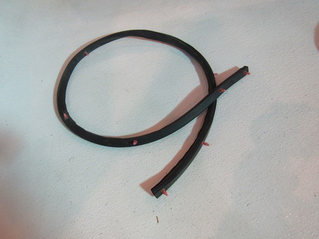 2009 Infiniti G37 Coupe Hood/Wiper Cowl Seal