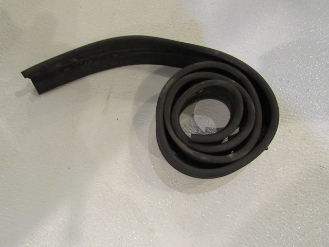 2009 Infiniti G37 Coupe Lower RH Passenger Door Seal