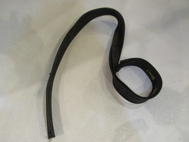 2009 Infiniti G37 Coupe Lower RH Passenger Door Seal